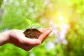 Impacto medioambiental